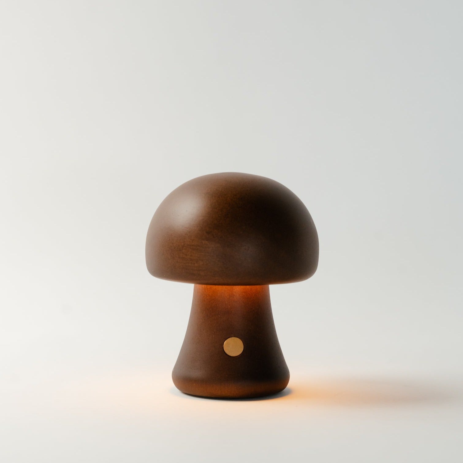 #color_dark oak