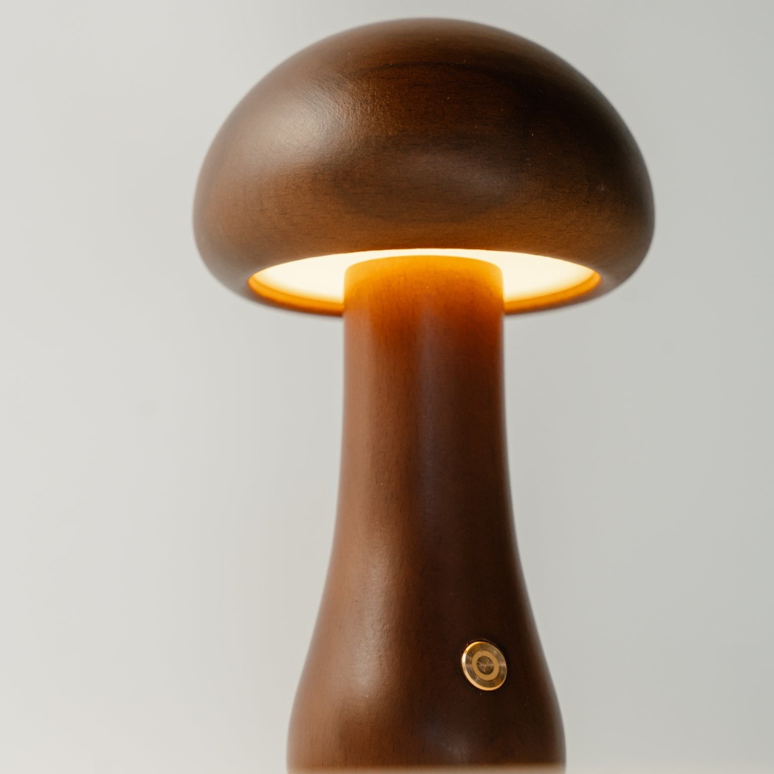 #color_dark oak